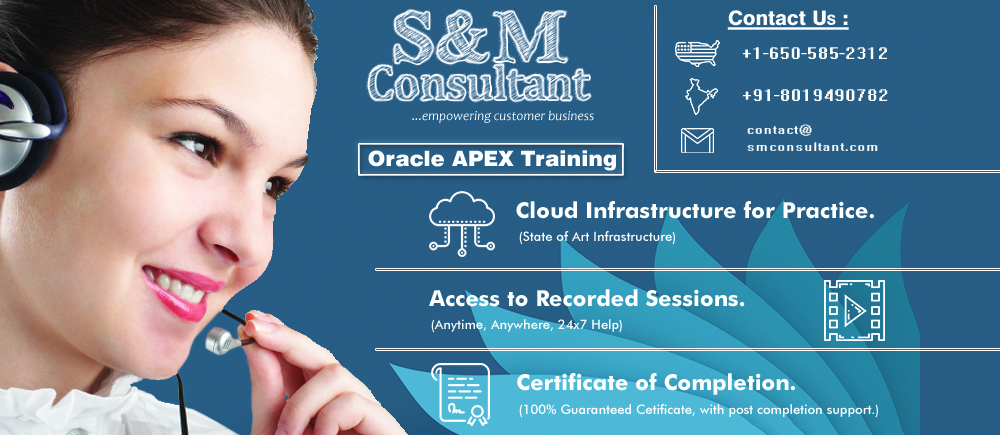Oracle APEX Training