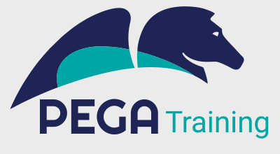 Pega Training