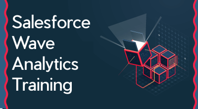 Salesforce Wave Analytics Training
